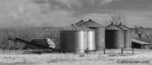 None